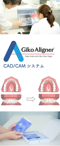 GikoAligner の流れ